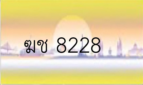 ฆช 8228